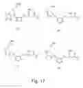 Fig. 18 - Beta-blockers having antioxidant and no-donor activity