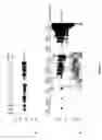 Fig. 02 - Stabilization of hypoxia inducible factor (HIF) alpha