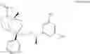 Fig. 101 - Bridged ring NKantagonists