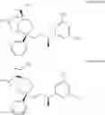Fig. 117 - Bridged ring NKantagonists