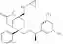 Fig. 205 - Bridged ring NKantagonists