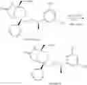 Fig. 65 - Bridged ring NKantagonists