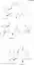 Fig. 91 - Bridged ring NKantagonists