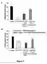 Fig. 03 - Quinazolinone compositions for regulation of gene expression related to pathological processes