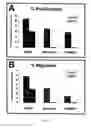 Fig. 08 - Use of opioid antagonists to attenuate endothelial cell proliferation and migration