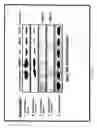 Fig. 17 - Use of opioid antagonists to attenuate endothelial cell proliferation and migration
