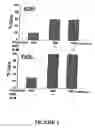Fig. 04 - Method of augmenting the antitumor activity of anticancer agents