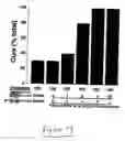 Fig. 17 - Method of augmenting the antitumor activity of anticancer agents