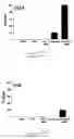 Fig. 19 - Method of augmenting the antitumor activity of anticancer agents