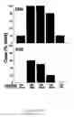 Fig. 20 - Method of augmenting the antitumor activity of anticancer agents