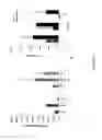 Fig. 07 - Stabilization of hypoxia inducible factor (HIF) alpha
