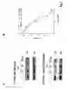 Fig. 03 - Antitumor compound and therapeutic uses thereof