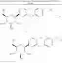 Fig. 43 - Processes for preparing of glucopyranosyl-substituted benzyl-benzene derivatives and intermediates therein