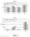 Fig. 03 - Biodegradable cationic polymers