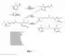 Fig. 03 - Method and compounds for cancer treatment utilizing NFkB as a direct or ultimate target for small molecule inhibitors