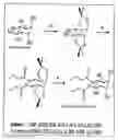 Fig. 14 - Method of treating endothelial dysfunction, oxidative stress and related diseases