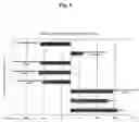 Fig. 05 - Rubber composition and tire comprising same