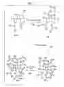 Fig. 02 - Hyperbranched dendron and methods of synthesis and use thereof