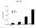 Fig. 08 - Hyperbranched dendron and methods of synthesis and use thereof