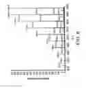 Fig. 09 - Atom or group transfer radical polymerization