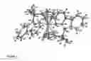 Fig. 02 - Group III bridged ionic metallocene based on cyclopentadienyl-fluorenyl ligands