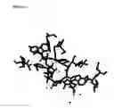 Fig. 158 - Purified polypeptides from 