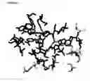 Fig. 161 - Purified polypeptides from 
