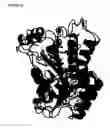 Fig. 166 - Purified polypeptides from 