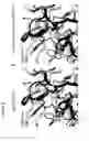 Fig. 07 - Methods of humanizing immunoglobulin variable regions through rational modification of complementarity determining residues