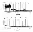 Fig. 09 - Therapeutic methods using electromagnetic radiation