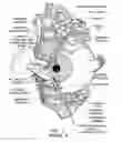 Fig. 02 - Non-Invasive Analyte Measurement Glasses and Method of Use