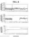 Fig. 09 - Method and apparatus for assessing vascular endothelial function