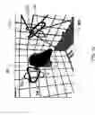 Fig. 15 - Display for ECG diagnostics