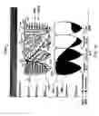 Fig. 16 - Display for ECG diagnostics