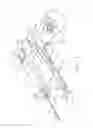 Fig. 08 - MRI biopsy device