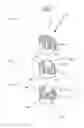 Fig. 06 - Dosing device with priming function