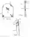 Fig. 03 - Pouch for ostomy bag