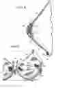 Fig. 04 - Brassiere for expressing milk