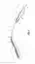 Fig. 02 - Aspirator sleeve and suction handle