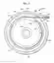 Fig. 03 - Reduced size implantable pump