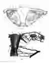Fig. 02 - Method and Apparatus for Performing a Surgical Procedure