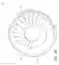 Fig. 09 - Neuro thrombectomy catheter