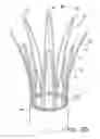 Fig. 06 - Wire guides having distal anchoring devices