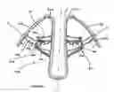Fig. 19 - Nasal cavity dilator