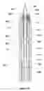 Fig. 11 - Methods and devices for anchoring to soft tissue