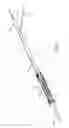 Fig. 03 - Apparatus and methods for delivering prostheses to luminal bifurcations
