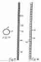 Fig. 07 - Device for inserting an object into the interior of a blood vessel or the heart