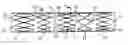 Fig. 01 - Lining for bodily lumen