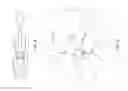 Fig. 05 - Prosthetic facet joint ligament
