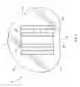 Fig. 08 - Artificial disc prosthesis